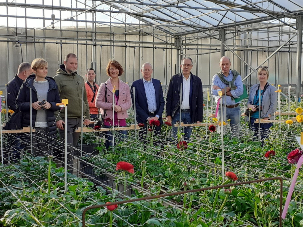 In Lettonia focus sulla torba  in floricoltura e orticoltura