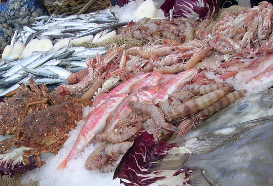 “Anche in Liguria torna in tavola il pescato locale” – Savonanews.it