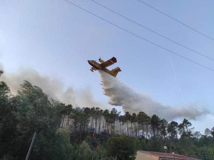 Cisano, migliora la situazione dell’incendio boschivo, continuano le operazioni di bonifica con 2 elicotteri regionali e un canadair (FOTO e VIDEO)