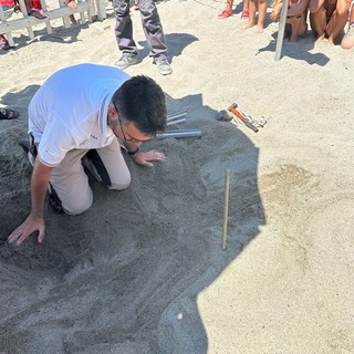 Nuovo nido di Caretta caretta a Finale Ligure (FOTO e VIDEO)