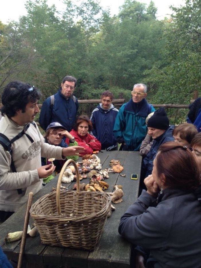 Con il Parco del Beigua scopriamo il mondo dei funghi nella Foresta della Deiva a Sassello