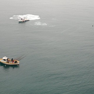 Peschereccio fermato nell'area marina di Bergeggi: sequestrati settanta chili di pesce