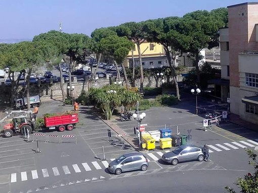 Albenga e i suoi pini: via Einaudi, piazza Matteotti diversi gli alberi abbattuti