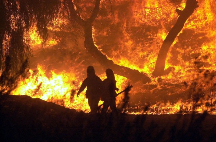 Incendi boschivi, i Verdi: &quot;Situazione critica, ma dopo le prime piogge si dimentica il problema&quot;