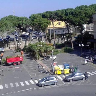 Albenga e i suoi pini: via Einaudi, piazza Matteotti diversi gli alberi abbattuti