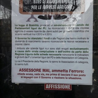 Albenga tappezzata di manifesti &quot;L'assessore Mai se ne vada&quot;