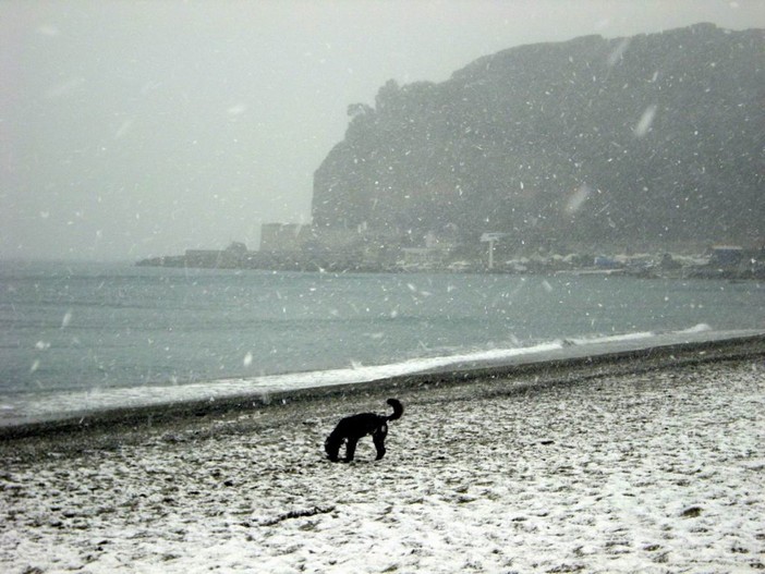 Immacolata &quot;imbiancata&quot;: dall'8 dicembre arriva la neve