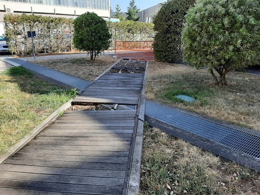 Albissola Marina, iniziata la riqualificazione dei giardini ex Arcos: si parte coi camminamenti