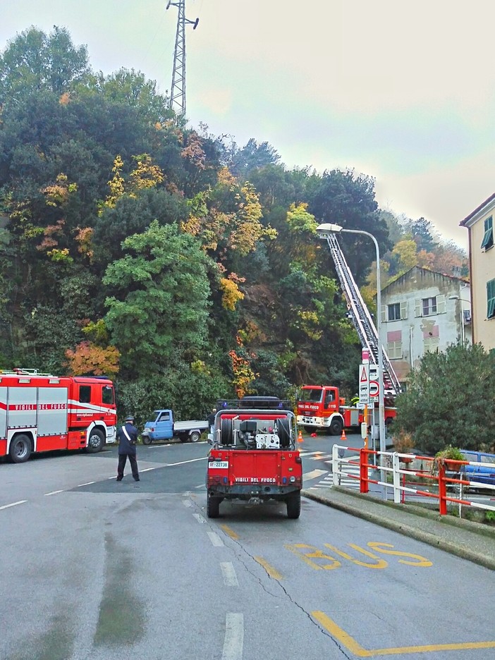 Vado Ligure, albero pericolante a Sant'Ermete: intervento dei vigili del fuoco