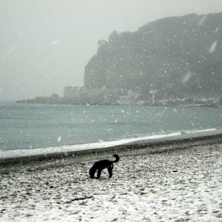 Immacolata &quot;imbiancata&quot;: dall'8 dicembre arriva la neve