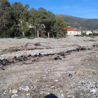 Allagamenti nelle serre di Albenga: le spiagge di Ceriale invase dai vasetti di piante