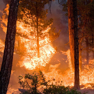 Continua il supporto dei volontari antincendio boschivo della Liguria in Piemonte