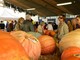 La zucca di Rocchetta in primo piano a &quot;La Prova del Cuoco&quot;