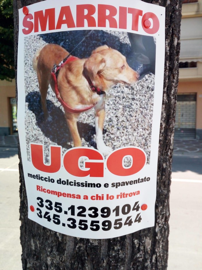 Albenga: continuano le ricerche di Ugo smarrito ormai oltre 10 giorni fa