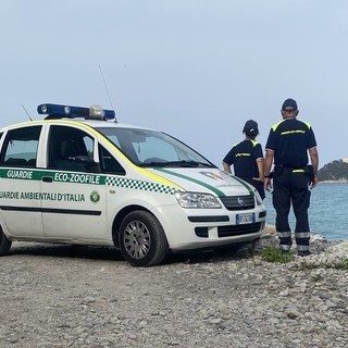 Ad Albenga al via il corso di formazione per aspiranti guardie eco-zoofile