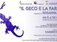 A Valleggia la mostra &quot;Il geco e la farfalla&quot;