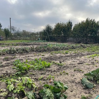 Coldiretti Savona: &quot;Decine di aziende sono ancora sommerse dal fango&quot;