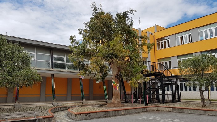 Loano, nel cortile delle scuole Valerga c'è un &quot;Albero della legalità&quot;