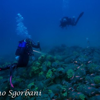 Tanti eventi alla scoperta dei tesori dell'isola Gallinara di Albenga