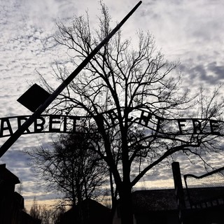 Cavalleri, il giovane filonazista arrestato a Savona, era stato ad Auschwitz grazie al suo lavoro studentesco sulla Resistenza