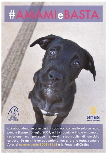 Anas e Lega Nazionale per la Difesa del Cane insieme nella lotta contro l’abbandono degli animali domestici in strada