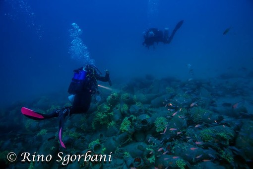 Tanti eventi alla scoperta dei tesori dell'isola Gallinara di Albenga