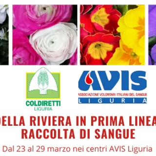 Accordo Avis - Coldiretti Liguria: i fiori della riviera in prima linea per la raccolta di sangue