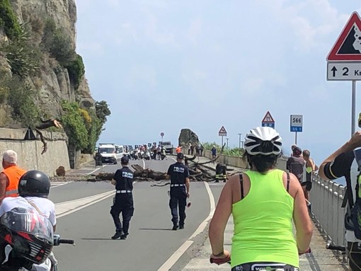 Albero pericolante a Celle, intervento dei Vigili del fuoco: disagi alla circolazione (FOTO)