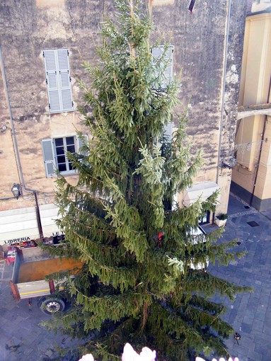 Albenga, albero di natale, domani la cerimonia di accensione