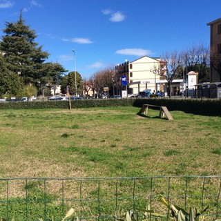 immagine di repertorio: l'area cani del quartiere Pontelungo