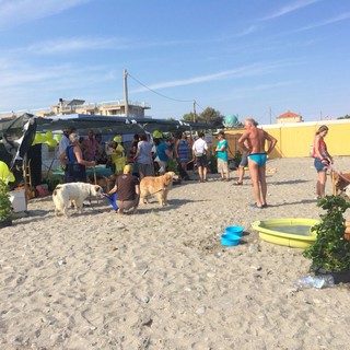 Albenga, riaperta la spiaggia Enpa &quot;Amare Fido&quot; (FOTO)