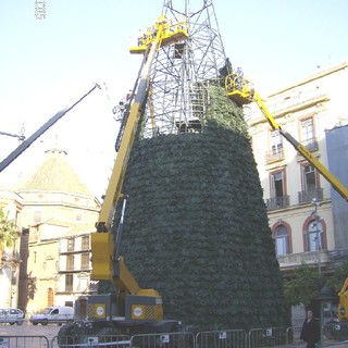 Savona: Enpa &quot;un albero di Natale artificiale per il Comune&quot;