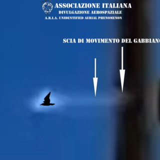 A.R.I.A. smentisce l'avvistamento UFO a Genova: &quot;Era un gabbiano&quot; (FOTO)