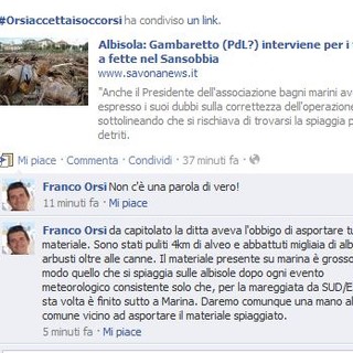 Tronchi a fette nel Sansobbia, Orsi: &quot;un taglio ci costa 20.000 euro, portarla via 60.000&quot;