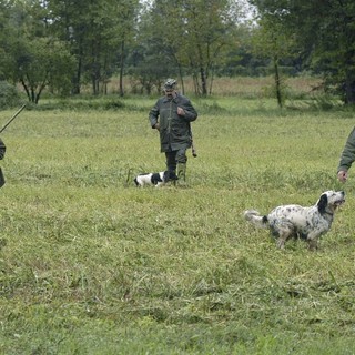 Lipu e Enpa dichiarano guerra alla Regione sulla proroga della caccia al tramonto