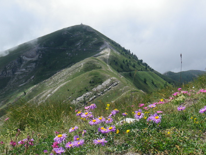 Attraverso le Alpi Liguri, escursione domenica 14 agosto sul monte Garlenda