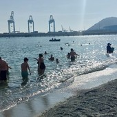 Cimento invernale, sessantuno i partecipanti per un'assolata &quot;ciumba&quot; nel mare di Vado (FOTO)