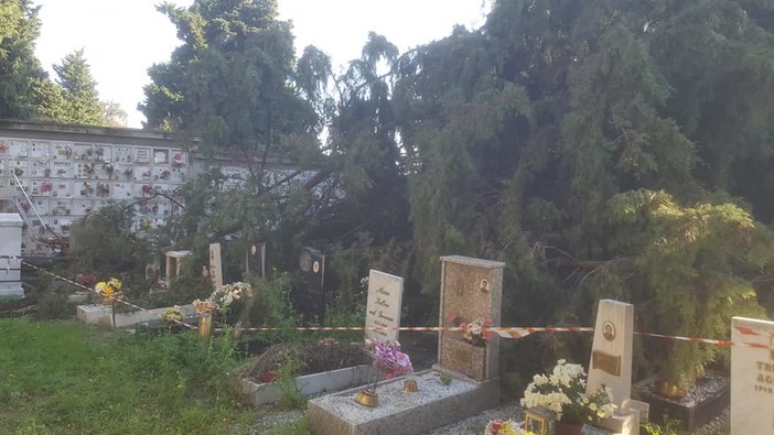 Pegli, il cimitero in condizioni disastrose