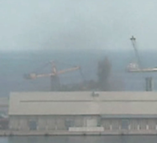 Porto di Savona: polvere di carbone dispersa in aria dal terminal alti fondali