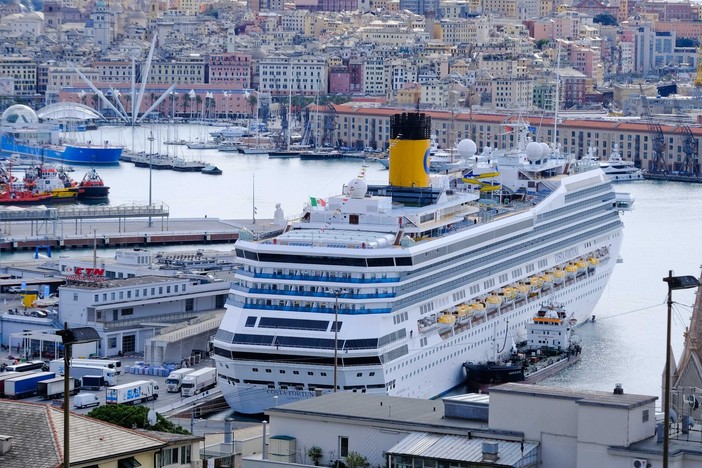 Elettrificazione delle banchine del porto, i dubbi di Confindustria