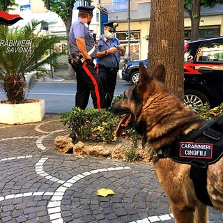 Albenga, controllo del territorio dei carabinieri: un arresto, due stranieri denunciati e numerosi consumatori di droga segnalati