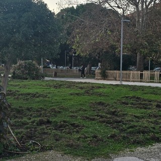 Foto di Savona da Scoprire