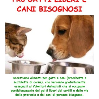 A Pietra Ligure raccolta cibo per cani e gatti al Carrefour