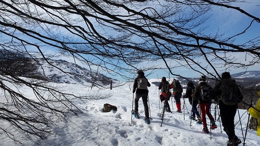 Le stagioni del Beigua: dalle ciaspolate sulla neve alle foreste tropicali