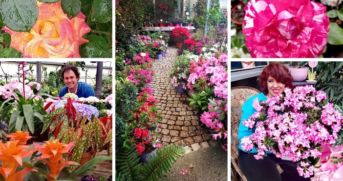 Fioriture spettacolari a maggio: alla Floricoltura Vivai Michelini di Borghetto S. Spirito è un’esplosione di forme e colori