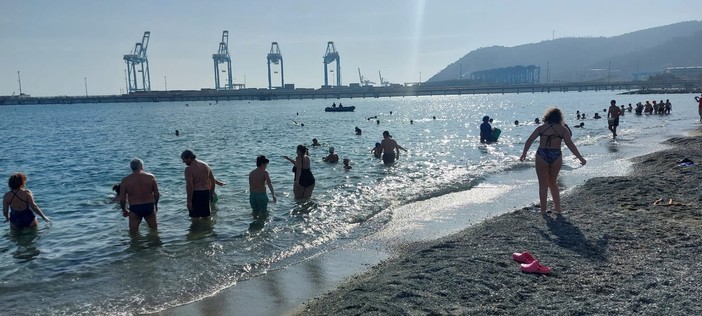 Cimento invernale, sessantuno i partecipanti per un'assolata &quot;ciumba&quot; nel mare di Vado (FOTO)