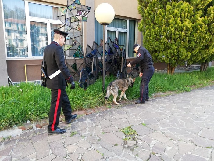 &quot;Scuole sicure&quot;: il cane &quot;Artur&quot; dei Carabinieri Cinofili veglia su Carcare