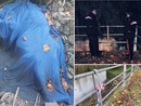 Cadavere trovato nel greto del torrente a Ceriale: sopralluoghi e confronto delle testimonianze (FOTO e VIDEO)