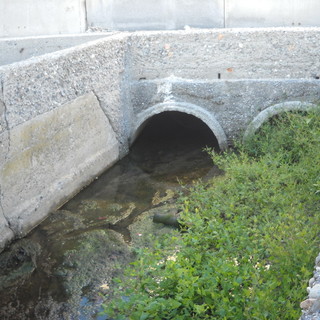 Albenga, terminata la pulizia del rio Cadano