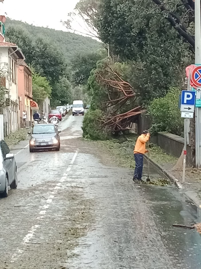 Maltempo, 20 sfollati e alcuni feriti lievi. Giampedrone: &quot;Nelle prossime ore possibili eventi simili a quelli di stamani&quot;